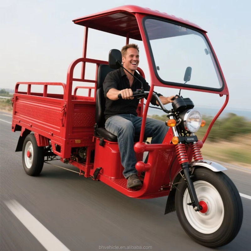 倉庫出荷済みオープンキャブ電動貨物三輪車、500KG積載、都 - Urban Farming And Rural Farming のレビューと価格