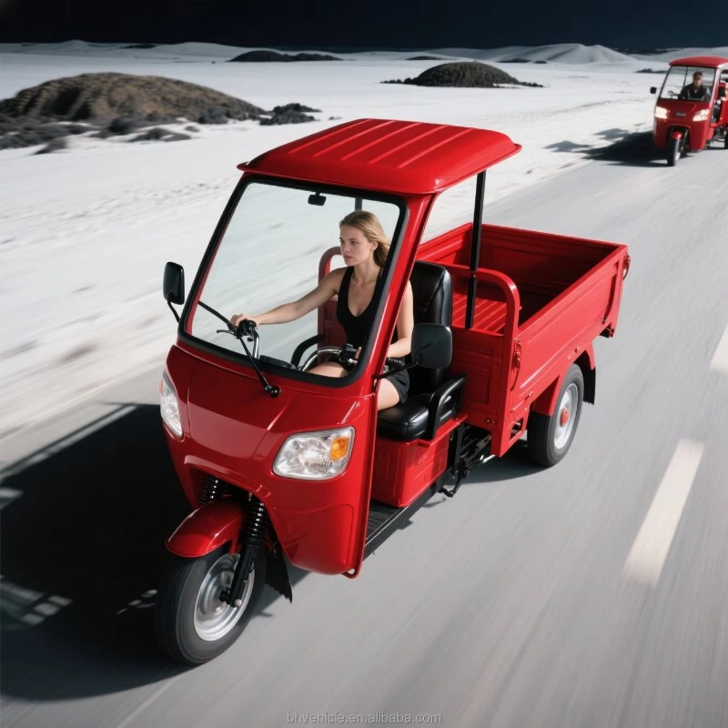 倉庫出荷済みオープンキャブ電動貨物三輪車、500KG積載、都 - Urban Farming And Rural Farming のレビューと価格