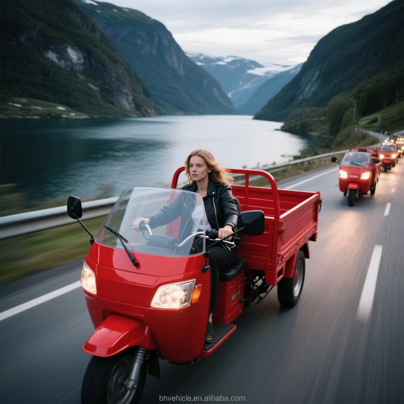 倉庫出荷済みオープンキャブ電動貨物三輪車、500KG積載、都 - Urban Farming And Rural Farming のレビューと価格